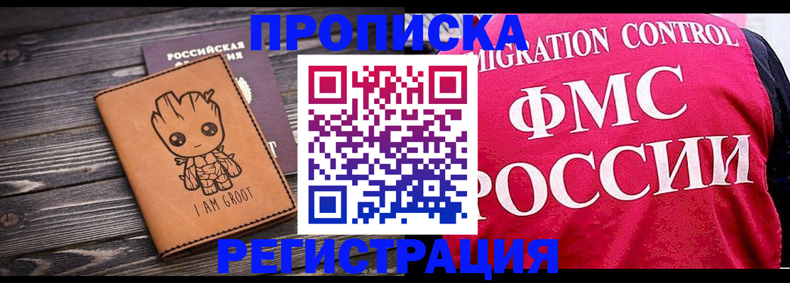 прописка 2025 в Чудово